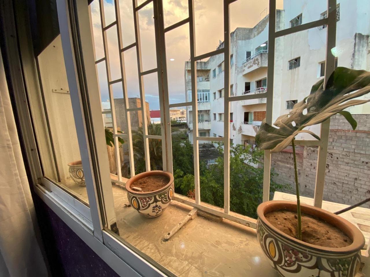 Sweet Jacob'S Apartments Fès Oda fotoğraf